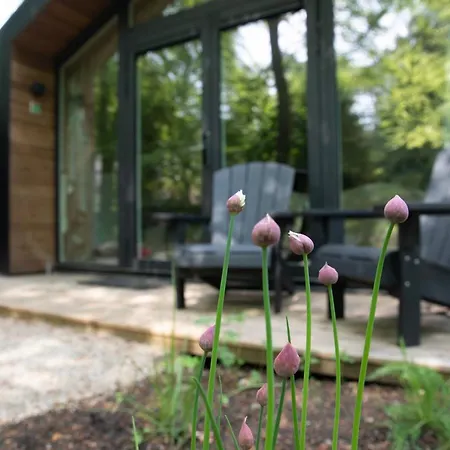 Boetiekpark 't Zwaantje Отель 4*
