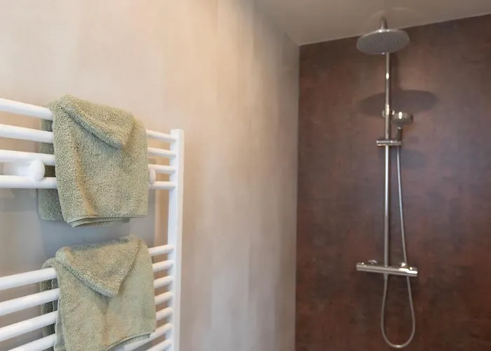 Boetiekpark 't Zwaantje Отель 4*